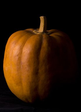 balkabağı siyah arkaplanda