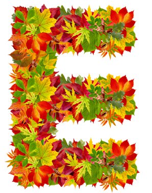 e, sonbahar alfabe üzerinde beyaz izole