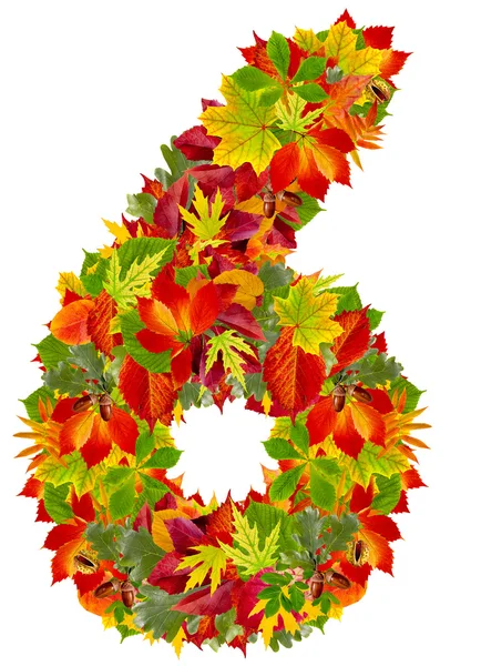 Number 6 made from autumn leaves, isolated on white — Stock Photo, Image