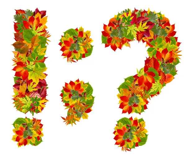 Satzzeichen aus Herbstblättern, isoliert auf weiß — Stockfoto