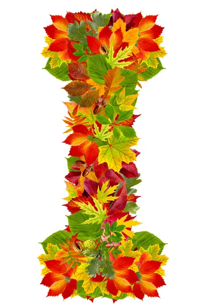 I, autumn alphabet isolated on white — Stock Photo, Image