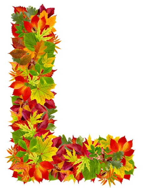 L, sonbahar alfabe üzerinde beyaz izole — Stok fotoğraf