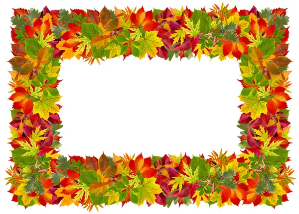 Autumn frame with colorful leaves — Stock Photo, Image