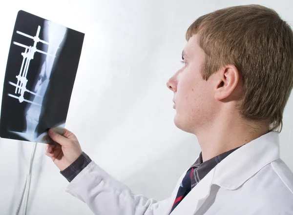 Veterinary Surgeon Examining X Ray In Surgery — Stock Photo, Image