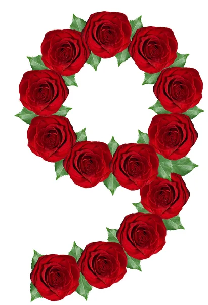 Number 9 made from red roses and green leaves — Stock Photo, Image