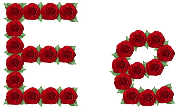 Alphabet made from red roses and green leaves — Stock Photo, Image