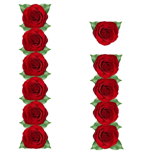 Alphabet made from red roses and green leaves — Stock Photo, Image