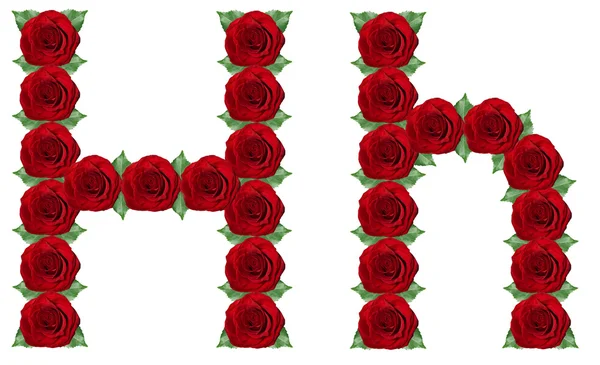 Alphabet made from red roses and green leaves — Stock Photo, Image