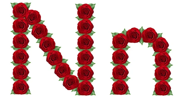 Alfabeto composto da rose rosse e foglie verdi — Foto Stock