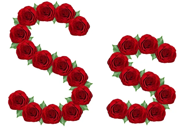 Alphabet made from red roses and green leaves — Stock Photo, Image