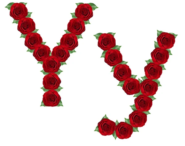 Alphabet made from red roses and green leaves — Stock Photo, Image