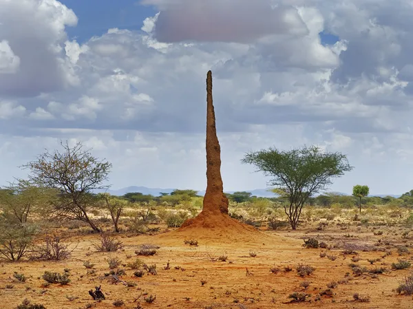 Paisaje africano con termitario — Foto de Stock