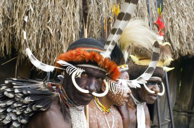 Tanımlanamayan bir Papua kabilesinin