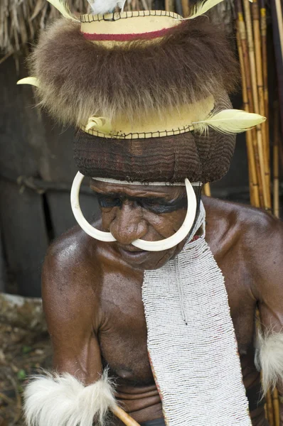 Warrior of a Papuan tribe in traditional clothes — Stock Photo, Image