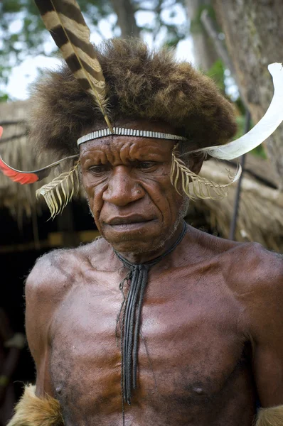 Guerreiro de uma tribo papua em roupas tradicionais — Fotografia de Stock