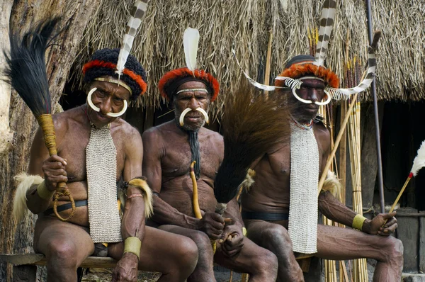 Guerrero de una tribu de Papúa con ropas tradicionales — Foto de Stock