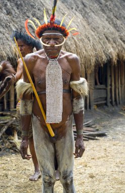 geleneksel giysiler içinde bir Papua kabilesinin savaşçı