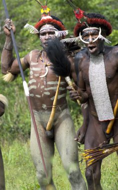 savaşçılar Papua kabile geleneksel giysiler ve boyama