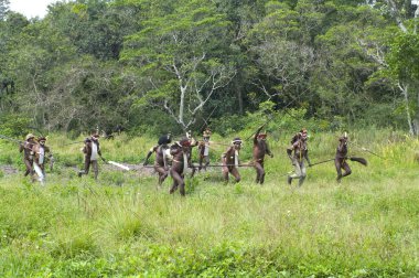Papua kabile geleneksel giysiler içinde Warriors