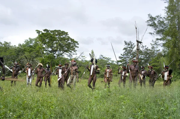 Воины папуасского племени в традиционной одежде — стоковое фото