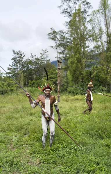 Guerreiros de uma tribo papua em roupas tradicionais e coloração — Fotografia de Stock