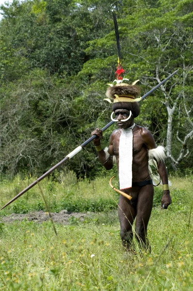 Πολεμιστής Παπούα φυλής στη παραδοσιακά ρούχα — Φωτογραφία Αρχείου