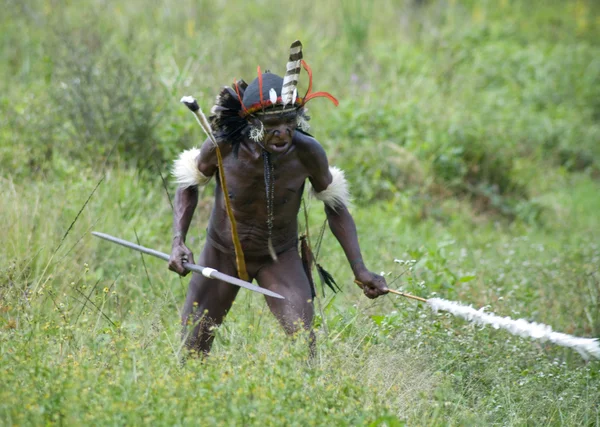 Guerreiro de uma tribo papua em roupas tradicionais — Fotografia de Stock