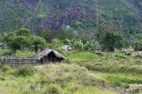 Uma aldeia tradicional em Papua — Fotografia de Stock