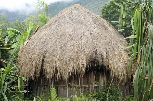 Eine traditionelle Hütte in einem Bergdorf — Stockfoto