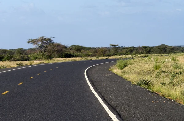 Camino de asfalto en la sabana africana — Foto de Stock