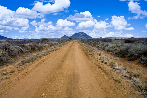 El camino en la sabana africana — Foto de Stock