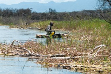 bir balık balıkçı yakalar
