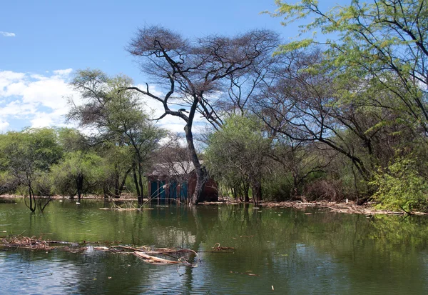 Zalany dom nad jeziorem Baringo, Kenia — Zdjęcie stockowe