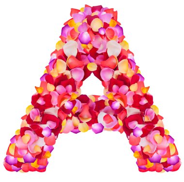 bir yapılmış renkli yaprakları gül mektup