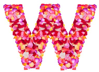 renkli yaprakları gül yapılan harf w