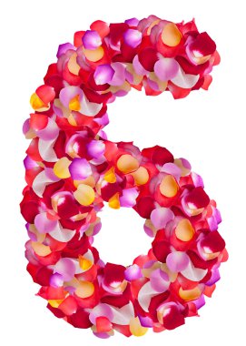 renkli yaprakları yapılmış 6 numaralı yükseldi