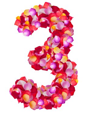 renkli yaprakları yapılmış 3 numaralı yükseldi