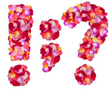 noktalama işaretleri renkli yaprakları gül yaptı