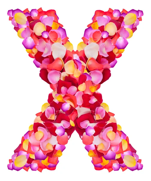 Bokstav x från färgglada kronblad ökade — Stockfoto