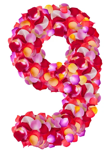 Number 9 made from colorful petals rose — Stock Photo, Image