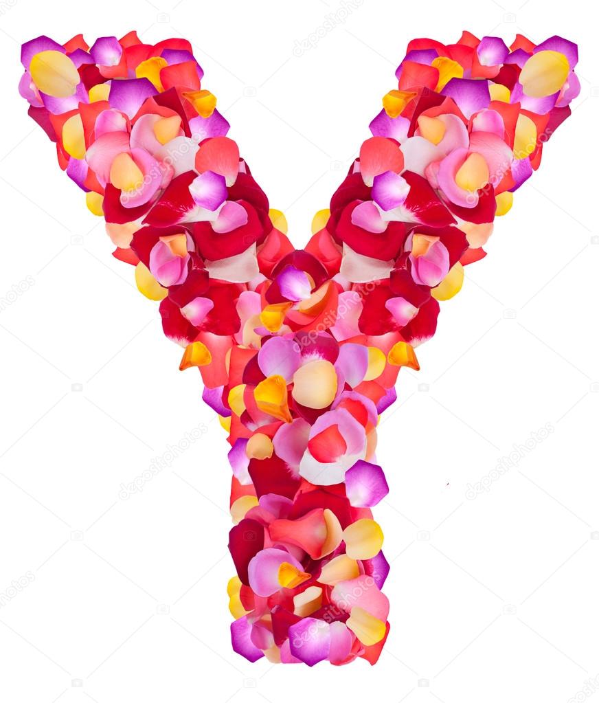 Letter Y made from colorful petals rose — Stock Photo © Byelikova #29393761