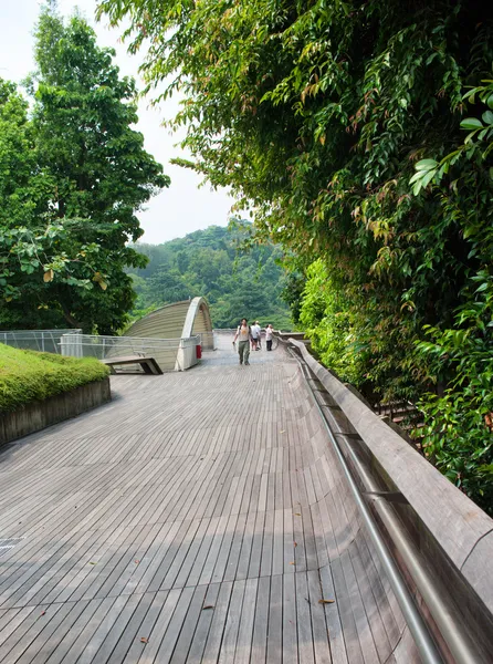 Henderson Waves is the highest pedestrian bridge in Singapore. — Stock Photo, Image