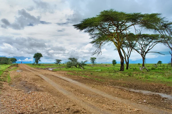 El hombre en la carretera en la sabana africana — Foto de Stock