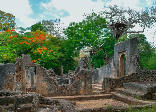 Restos de Gede, perto da cidade Malindi no Quênia, África — Fotografia de Stock