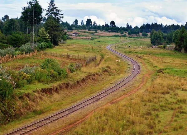 ケニアの鉄道 — ストック写真