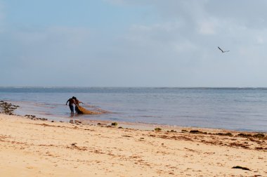 balıkçıların ağları içinde Çek