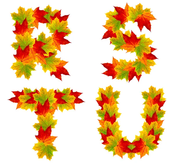 Alfabeto de otoño aislado en blanco — Foto de Stock
