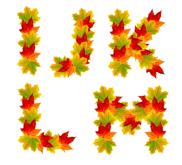 Autumn alphabet isolated on white — Stock Photo, Image