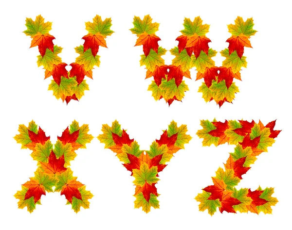 Autumn alphabet isolated on white — Stock Photo, Image