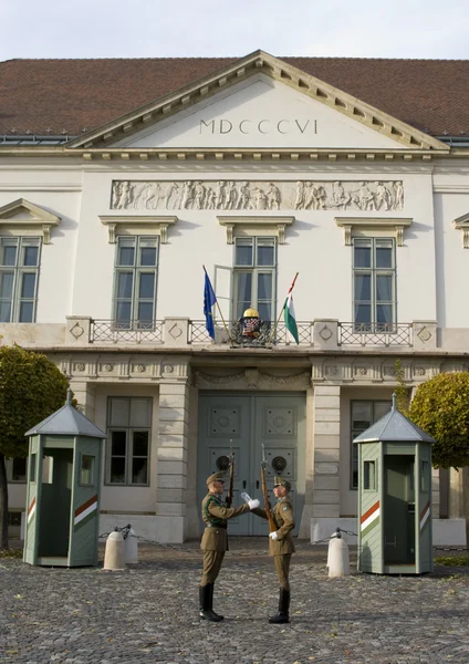 Bewachung des Präsidentenpalastes in Budapest — Stockfoto